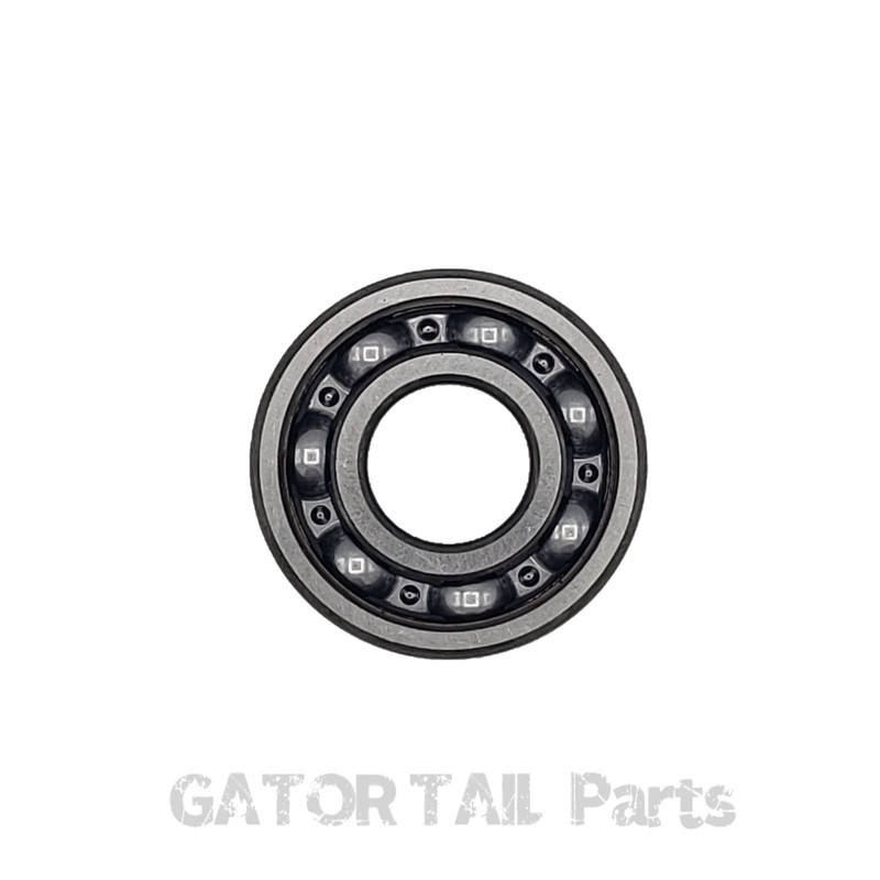 Lower Unit Front Flange Bearing