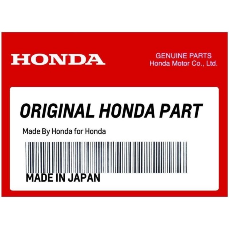 Honda 4 Stroke Fuel Line Assembly with Fittings